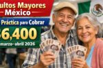Adultos mayores México: guía práctica para cobrar $6,400 en marzo–abril 2026, fechas y requisitos del Bienestar